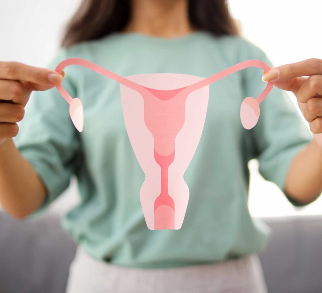 Woman holding up a cut out of female anatomy | Acupuncture for PCOS in Boulder & Longmont