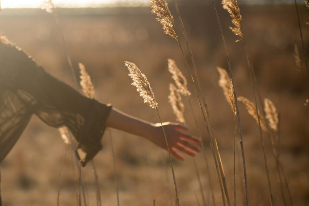Woman peaceful in nature after acupuncture treatment, symbolizing the calm, balance, and resilience restored through the Nervous System Reset Series